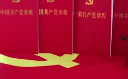 党章党徽红船为人民服务