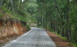山林间蜿蜒林区公路