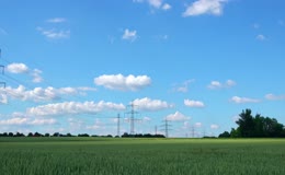 田野稻田蓝天白云