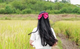 白裙女孩稻田奔跑背影