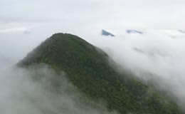 清晨高山森林云海