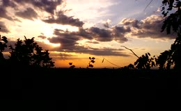 郊外林间眺望日落天空