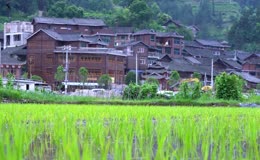 水田旁少数民族古村寨