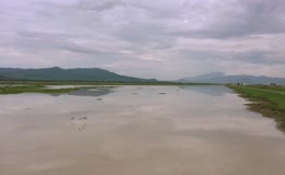湿地风光的湖畔草地