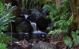 山间清澈溪水