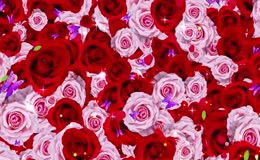 缤纷玫瑰构成的梦幻世界