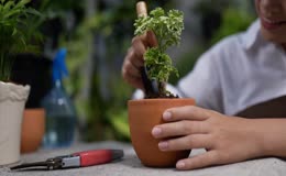 园艺种植花卉人物栽培