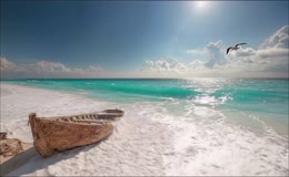 碧海沙滩海鸥飞翔