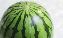 西瓜清洗