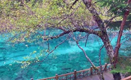 九寨沟自然风光