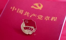 党章党徽