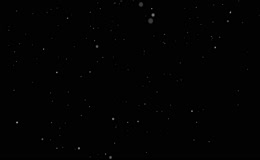 黑色背景飘雪