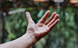 雨中手掌接雨滴