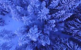 高空俯拍蓝调冰雪雾凇