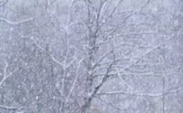 大雪纷飞场景