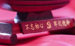 党徽不忘初心牢记使命