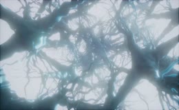 人体神经细胞结构