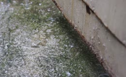 地面雨滴溅落实景