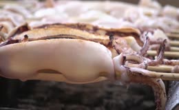 烧烤烤鱿鱼