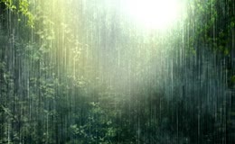 自然雨景与雨林风光