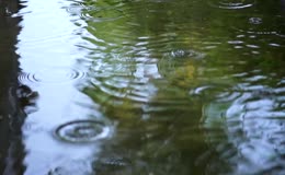 雨滴落水时涟漪荡漾