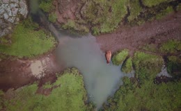 山间湿地草地溪流航拍