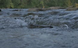 河水水流溪流湍急