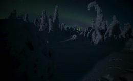 极地星空树林延时