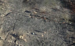燃烧后的山地