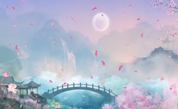 花瓣飘落江南古桥场景