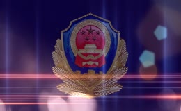 庄重正式的警徽动态画面