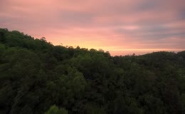 黄昏连绵密林山野