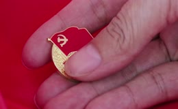 手抚摸党徽