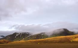 金色草甸山地风光