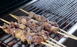 木炭明火铁网竹签鲜肉串