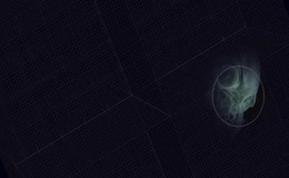 线框背景头骨扫描