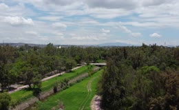 蓝天白云下城市滨河绿化林间小路