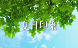 夏日印象
