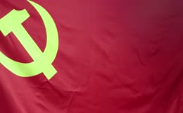 党旗党章翻阅