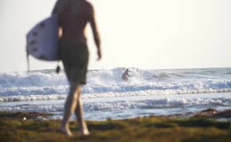 夏日海边冲浪运动实拍