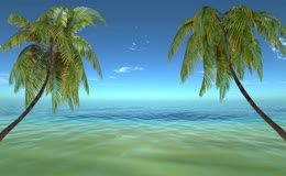 棕榈树大海