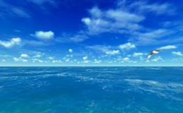 晴空下碧海蓝天群鸥飞翔,