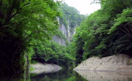 自然峡谷中的森林景观