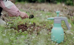 植树节户外种树