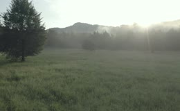 清晨晨雾山野草地日出