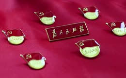 党徽为人民服务