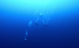 深海潜水运动下潜全过程