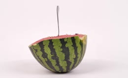 勺插半颗鲜西瓜