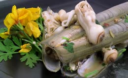 清蒸蛏子菜品