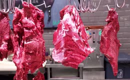 新鲜牛肉牛肉干